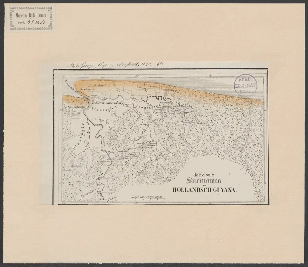 De kolonie Surinamen of Hollandsch Guyana