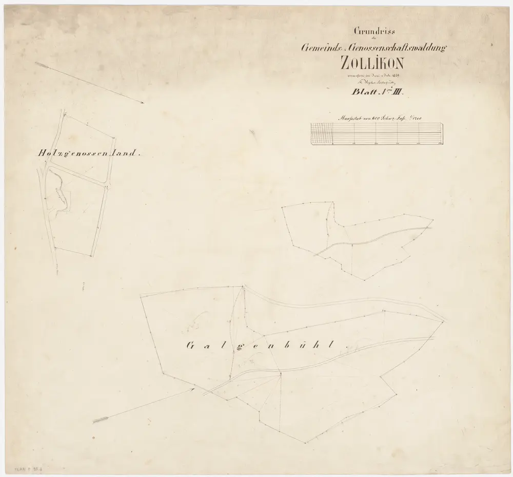 Zollikon: Genossenschafts- und Gemeindewaldungen; Grundrisse: Blatt III: Grundrisse