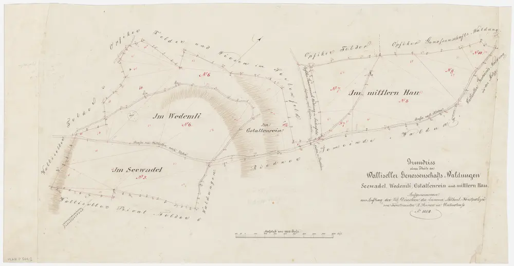 Wallisellen: Gemeinde- und Genossenschaftswaldungen: Genossenschaftswaldungen Seewadel, Wädemli (Wedemli), Gstaltenrein, Mittlerer Hau; Grundriss