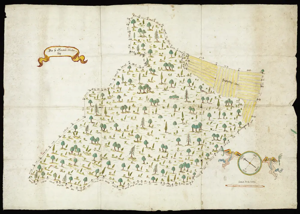 HZAN GA 100_Nr. 433_ : Weikersheim; "Der sogenannte Winterberg" [Waldkarte];ohne Verfasser;60 Ruten = 10,8 cm; 89 x 62 cm; Norden oben nach links;Papier; Wasserfarben; Grenzsteine nummeriert.