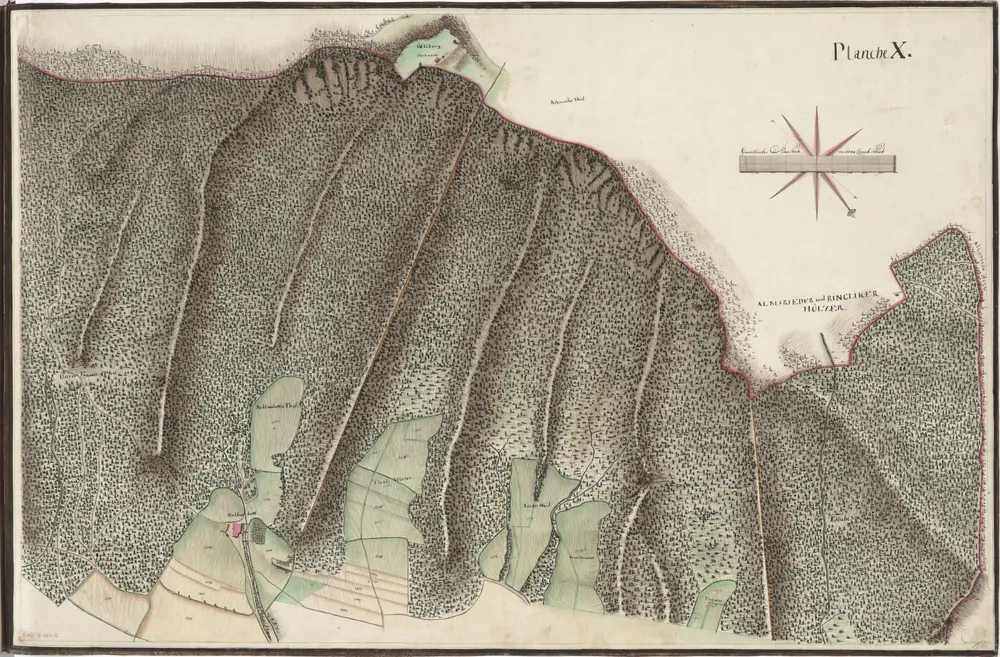 Wiedikon und Aussersihl: Vermessung der Gemeinden: Planche X: Am Üetliberg liegende Hölzer von der Bernegg bis an den Albisrieder Bann, samt dem Kolbenhof und dazwischen sich befindenden Friesenberger Wiesen