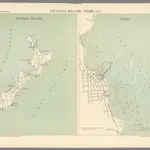 Nouvelle-Zélande, Timaru (1890).