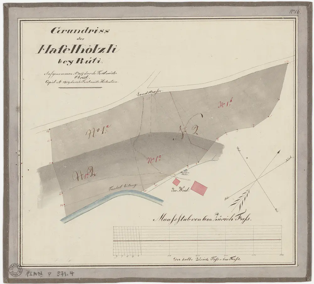 Rüti, Dürnten, Bubikon: Staatswaldung: Dürnten: Haselholz; Grundriss