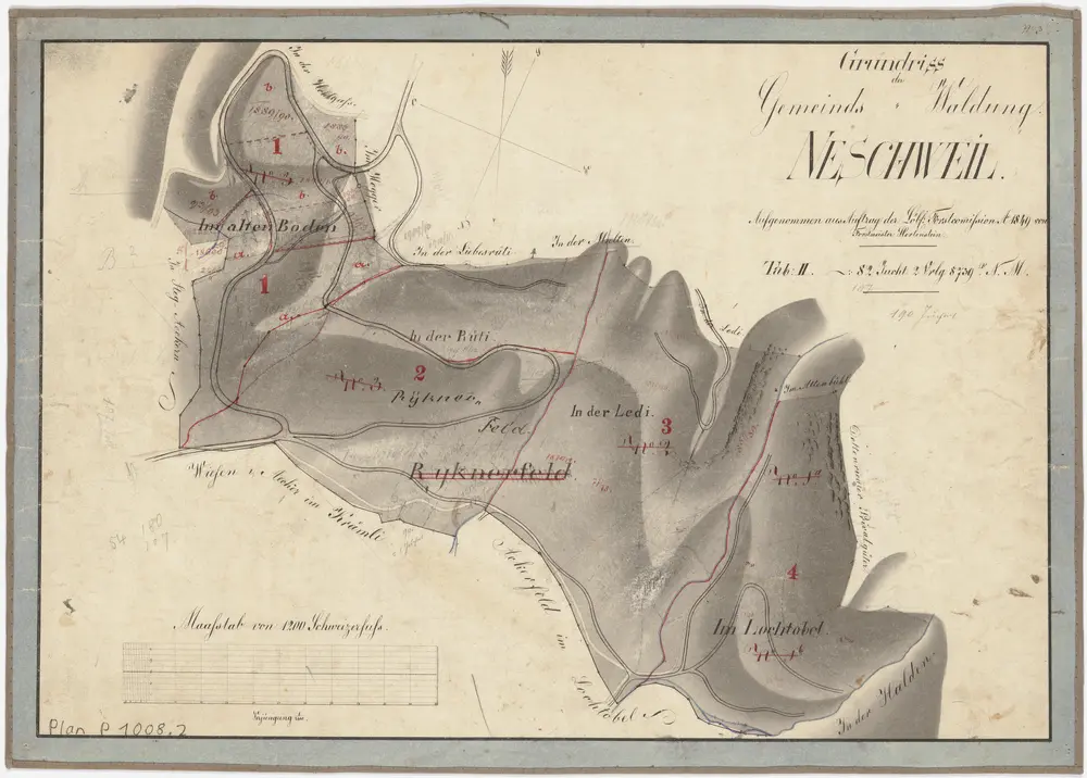 Weisslingen: Gemeindewaldung Neschwil: Im alten Boden, Rüteli (In der Rüti), Rikoner Feld (Ryknerfeld), In der Ledi, Im Lochtobel, Halden; Grundriss (Tab. II)