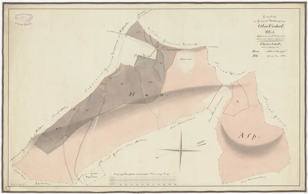 Urdorf: Gemeinde- und Genossenschaftswaldungen Oberurdorf: Oberurdorfer Gemeindewaldungen Hau, Asp; Grundriss (Tab. 1)