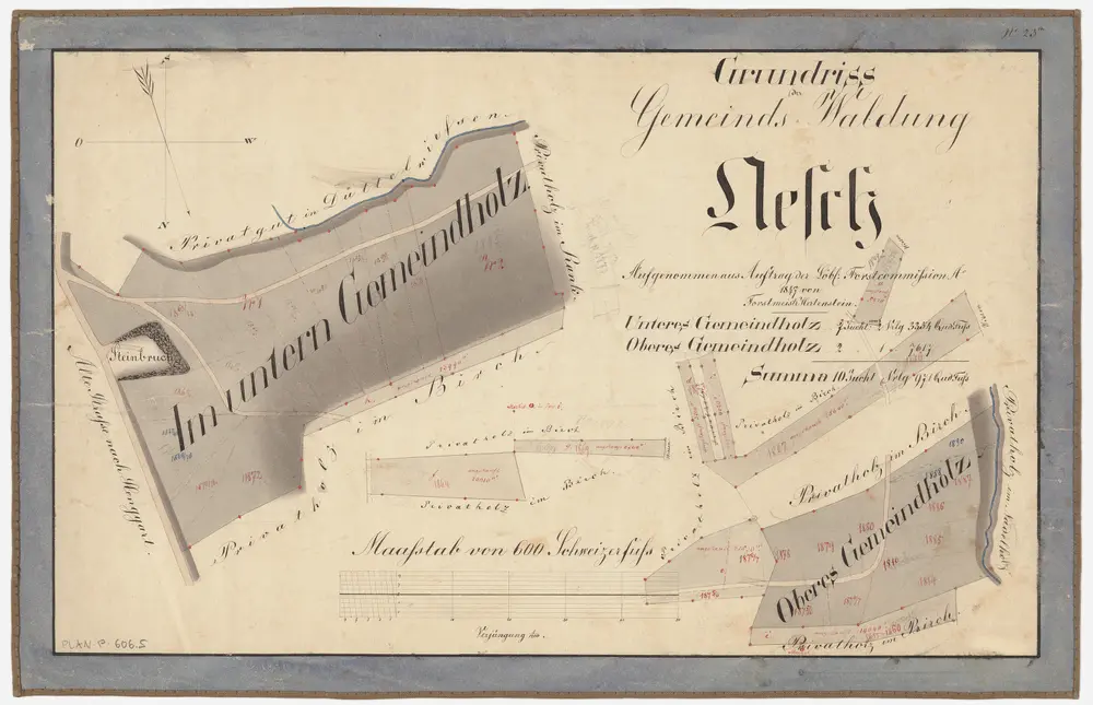 Neftenbach: Gemeindewaldung Aesch: Gemeindewaldung Aesch mit Birch, Unteres Gemeindeholz, Oberes Gemeindeholz; Grundrisse