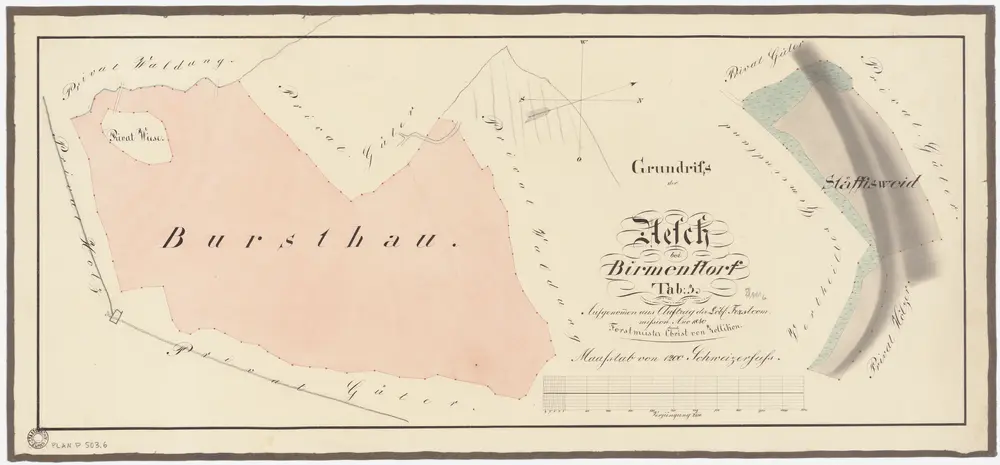 Aesch, Birmensdorf: Waldungen: Aesch: Genossenschaftswaldungen Bursthau und Stöffisweid; Grundrisse (Tab. 3)