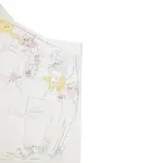 Anteprima della vecchia mappa