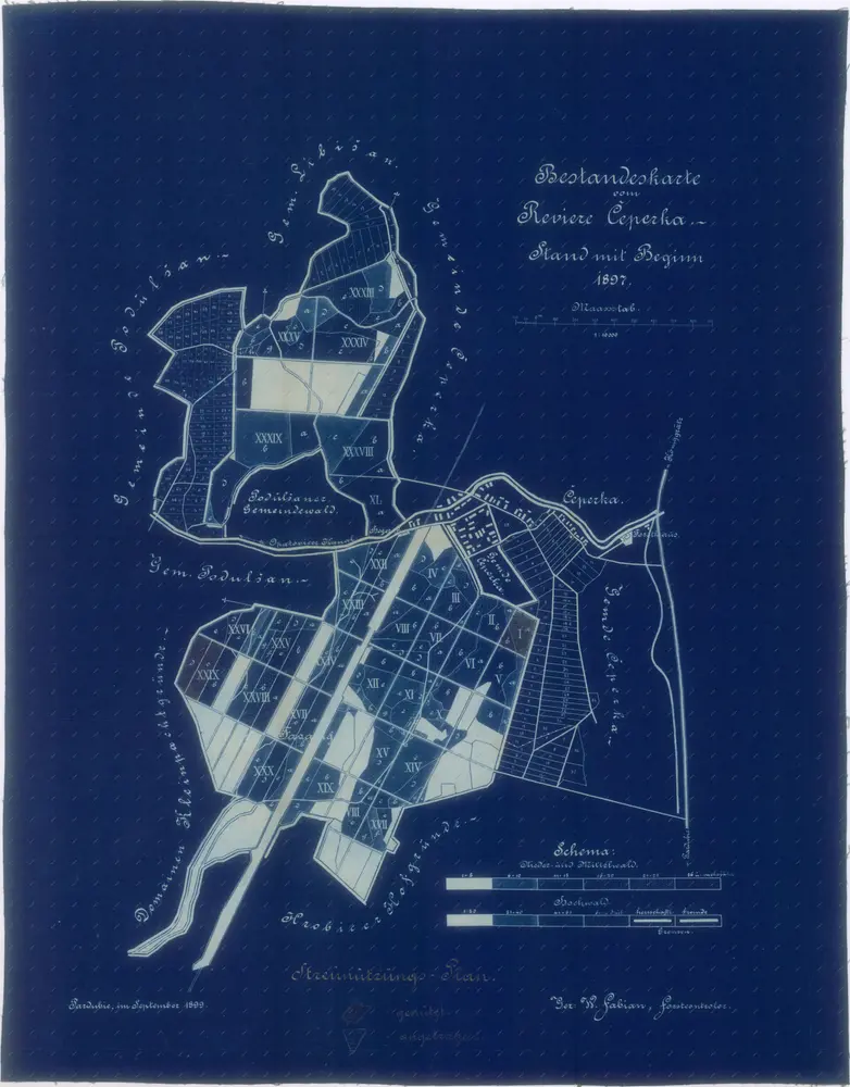 Porostní mapa revíru Čeperka stav z počátku roku 1897