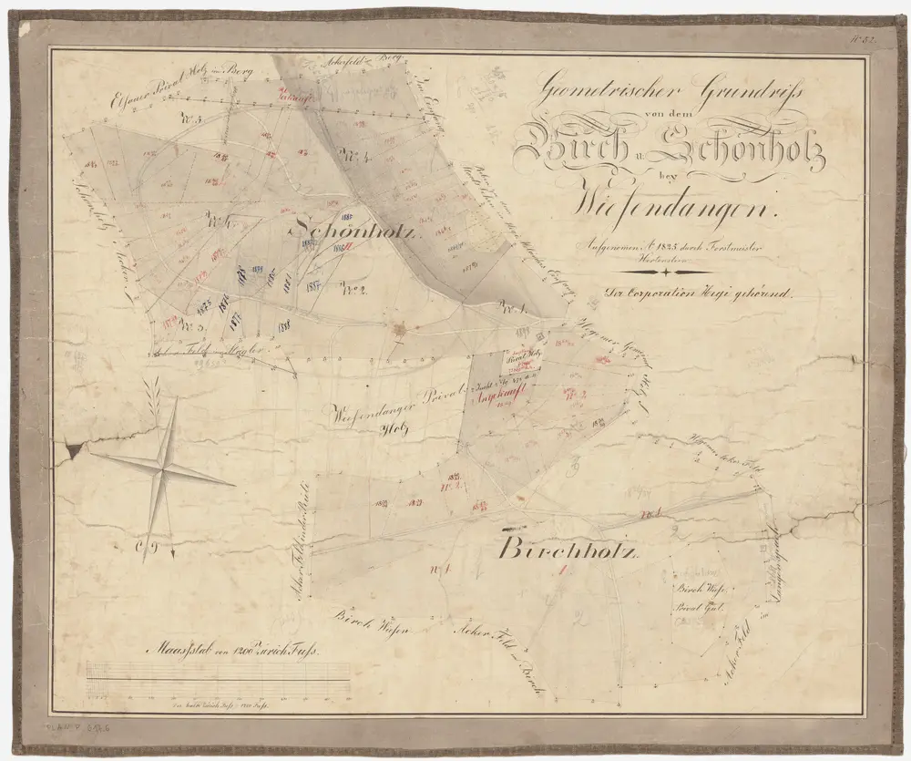 Oberwinterthur, Wiesendangen: Gemeinde- und Genossenschaftswaldungen Hegi: Oberwinterthur, Wiesendangen: Genossenschaftswaldungen Schönholz, Birch; Grundriss