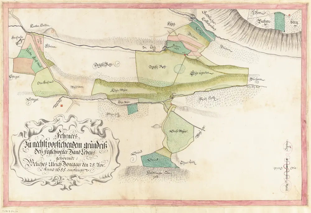 Rüti, Dürnten, Bubikon, Wald, Goldingen SG: Grundriss und Beschreibung der Güter, Waldungen und Handlehen des Amts Rüti sowie der beiden Alpen Scheidegg und Boalp (ältere Schreibweise: Poo-Alp), Band I: Seite 161: Weitere zum Handlehen zu Fägswil gehörende Güter; Grundriss