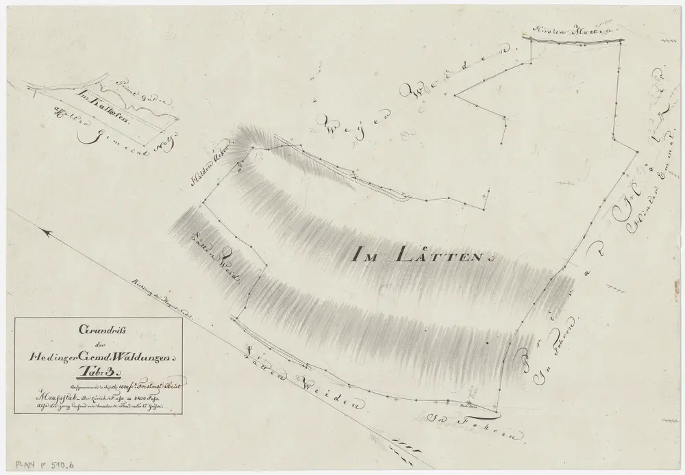 Hedingen: Gemeinde- und Genossenschaftswaldungen: Gemeindewaldung Lättenhau (Im Lätten); Grundriss (Tab. 3)