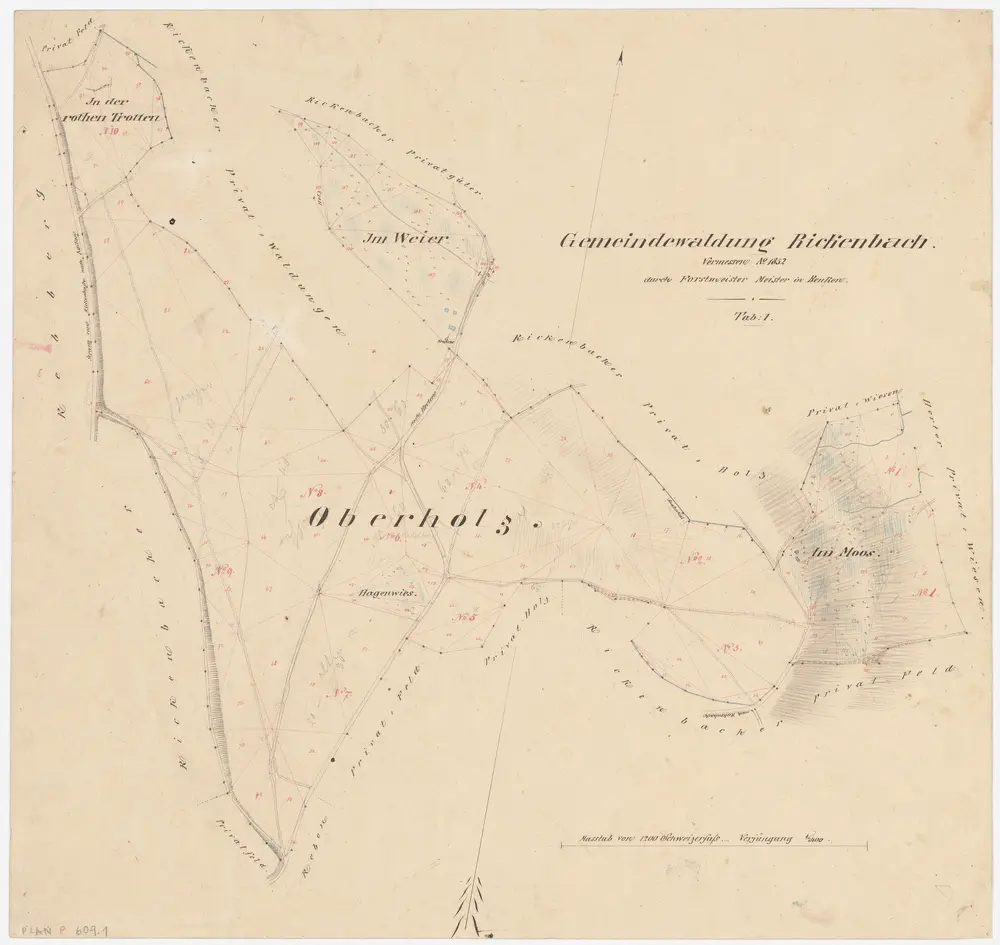 Rickenbach: Gemeindewaldung: Oberholz, Hagenwis, Im Moos, Rottrotten (In der rothen Trotten), Weier; Grundriss (Tab. I)