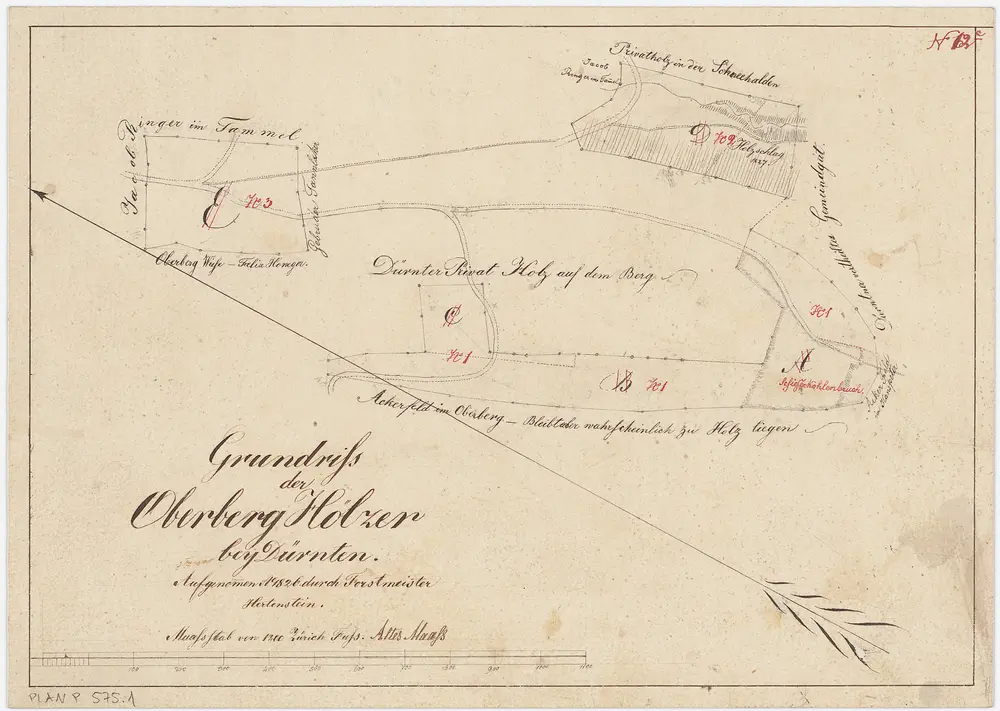 Dürnten: Waldungen: Dürnten: Oberberg; Grundriss