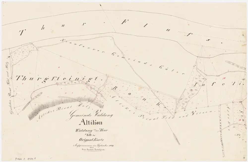 Altikon: Gemeindewaldung: Thurgsteinig, Rank, Inseli; Grundriss (Tab. 1)