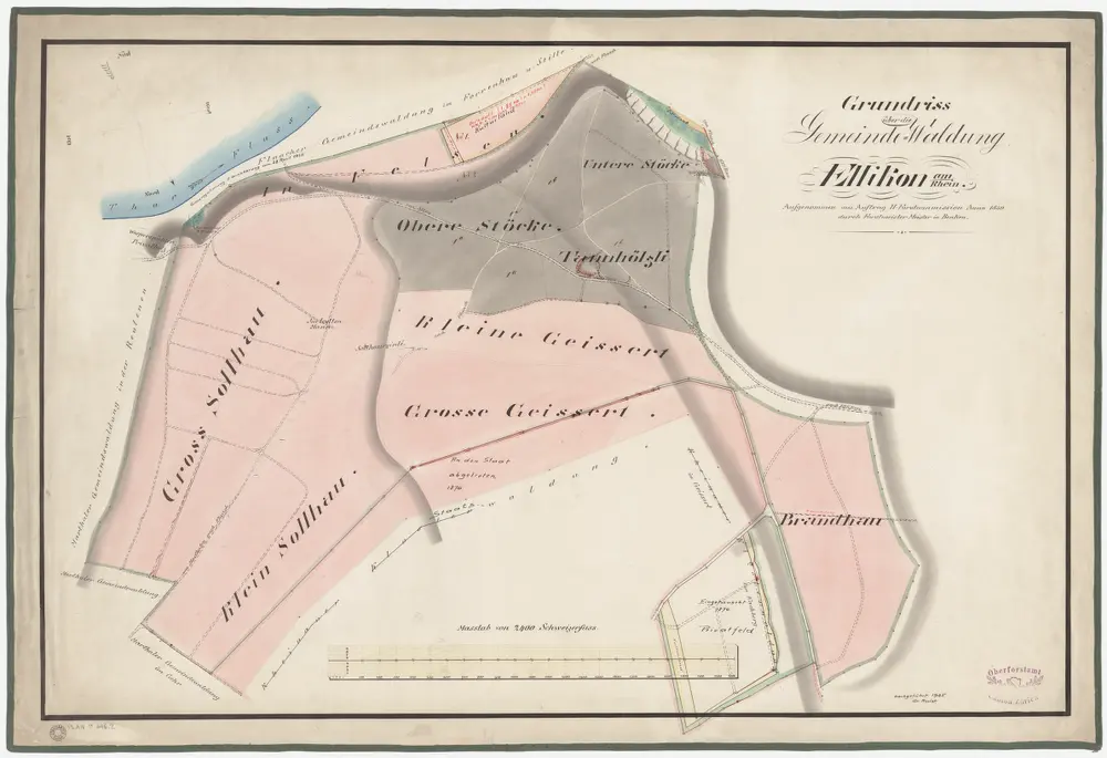 Marthalen: Gemeindewaldung Ellikon am Rhein: Brandhau, Solhau (Sollhau), Geissert, Oberstöcken, Tannhölzli; Grundriss