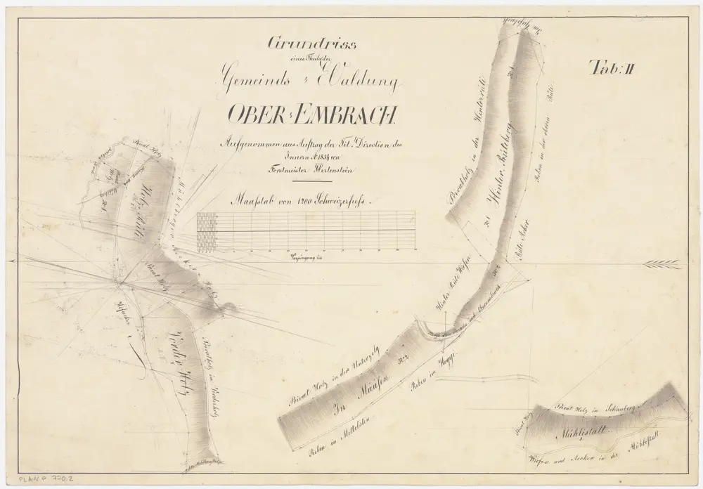 Oberembrach: Gemeindewaldung: Holzrüti, Vorderholz, Müsen (Mäüsen), Hinterrüti (Hinter Rütiberg), Mülistatt (Mühlistatt); Grundrisse (Tab. II)