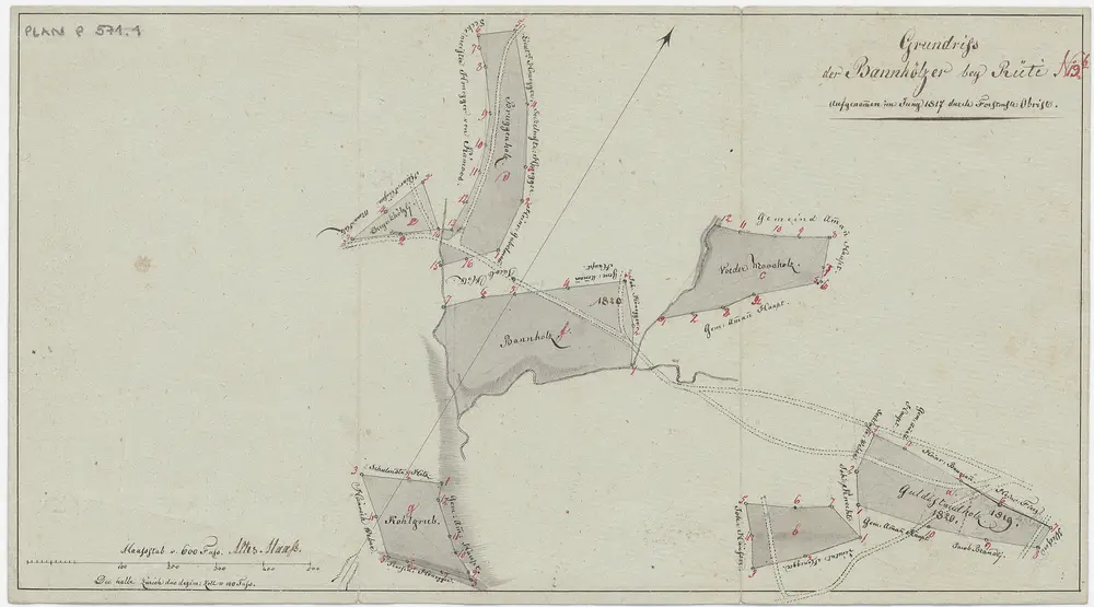 Rüti, Dürnten, Bubikon: Staatswaldung: Rüti, Dürnten: Bannhölzer Moosholz, Bannholz, Cholgrueb, Guldistud, Bruggenholz, Dreieckholz; Grundrisse