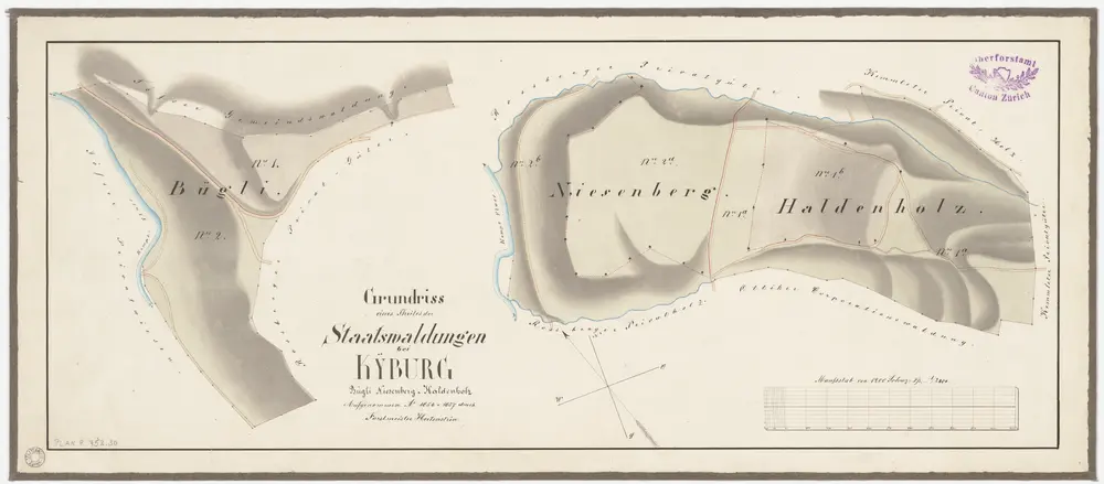 Kyburg, Töss, Illnau-Effretikon (damals Illnau), Schlatt: Staatswaldung: Töss: Bügliholz, Niesenbergholz, Haldenholz; Grundrisse