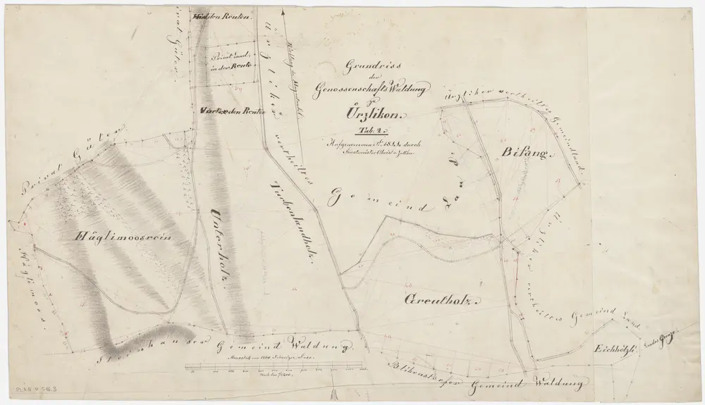 Kappel am Albis: Lehen- und Genossenschaftswaldungen Uerzlikon: Genossenschaftswaldungen Häglimoosrain, Unterholz, Turbenlandholz, Grütholz (Greutholz), Bifang, Eichhölzli; Grundriss (Tab. 2)