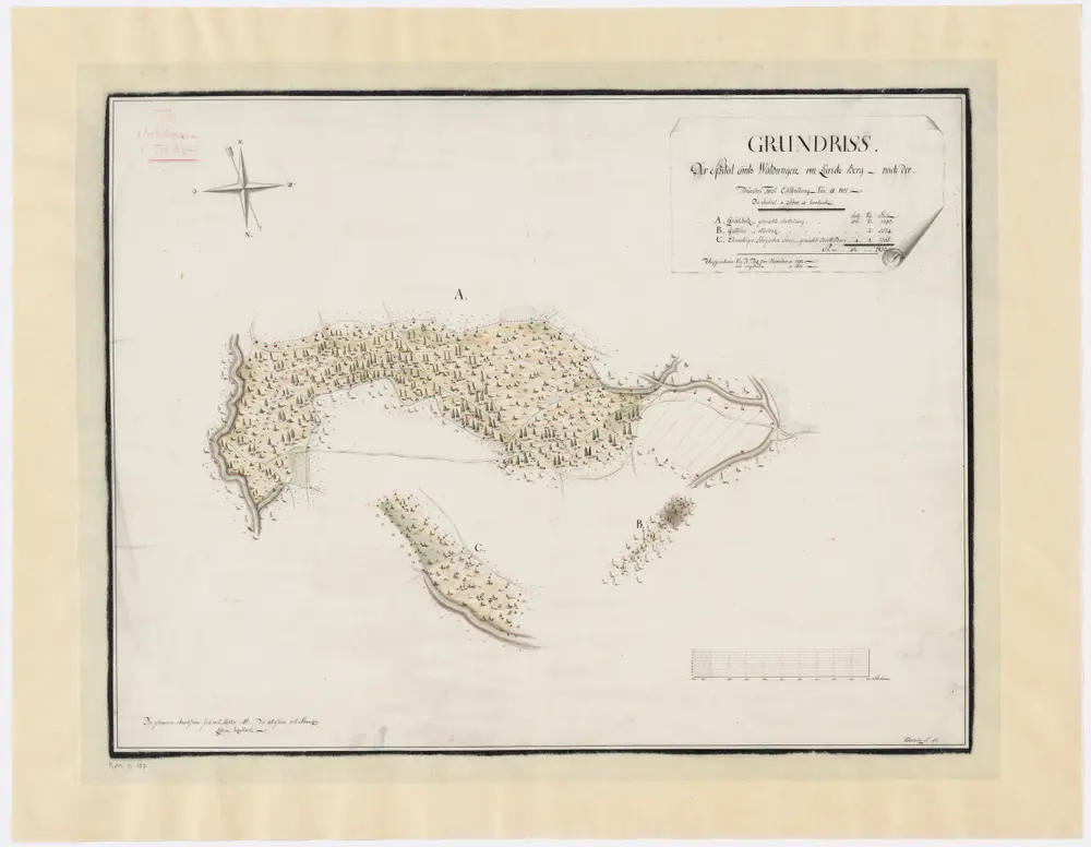 Hottingen: Dem Spital Zürich gehörende Waldungen auf dem Zürichberg, Forsteinteilung im Jahre 1801; Grundriss