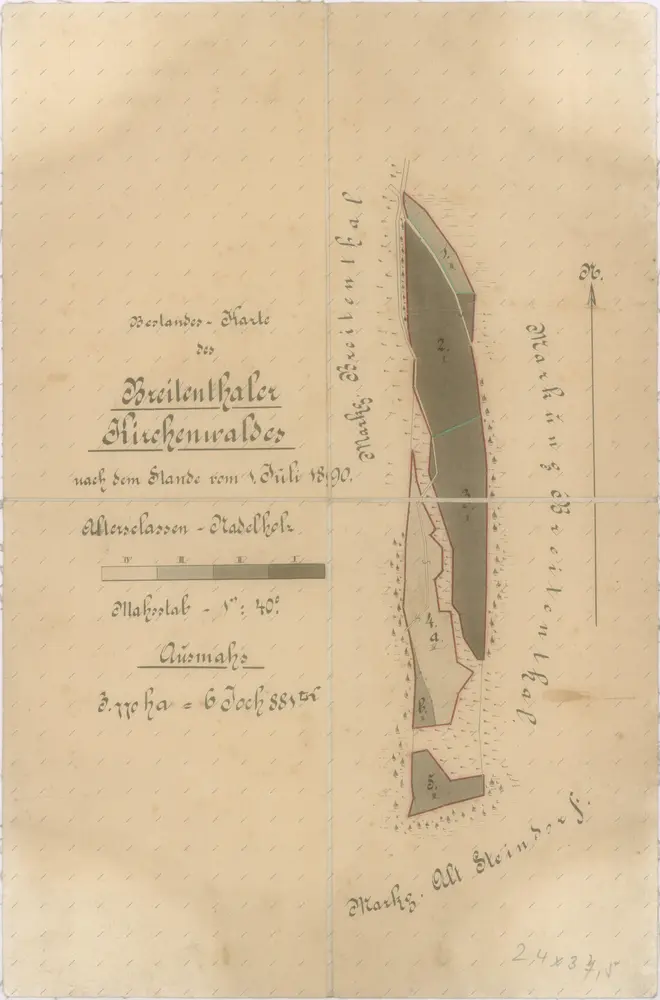 Porostní mapa kostelního lesa v Širokém Dole