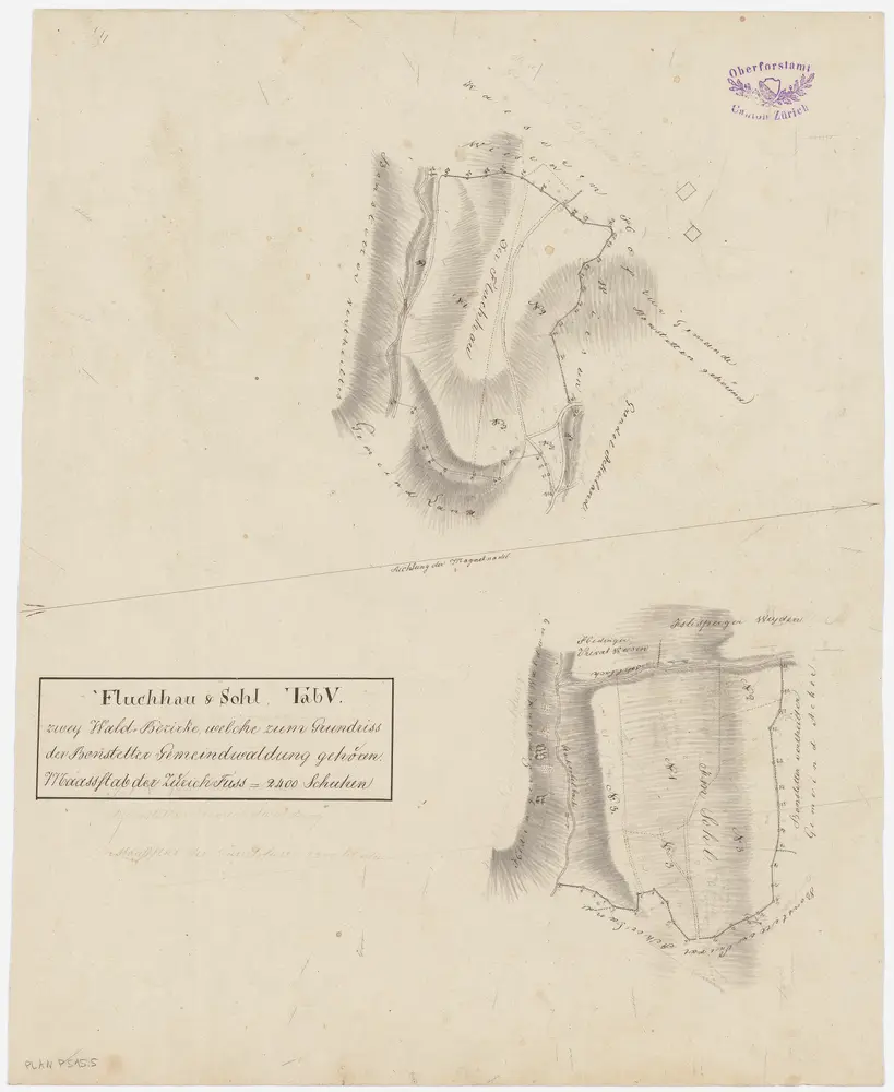 Bonstetten: Gemeinde- und Genossenschaftswaldungen: Gemeindewaldungen Fluechhau (Im Fluchhau), Solfeld (Im Sohl); Grundrisse (Tab. V)