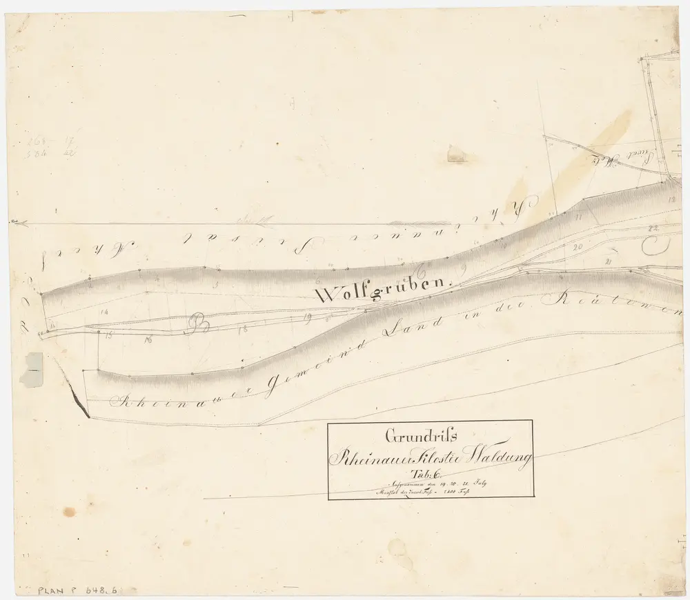 Rheinau: Gemeinde-, Kloster- und Genossenschaftswaldungen: Klosterwaldung Wolfgruben; Grundriss (Tab. 6)