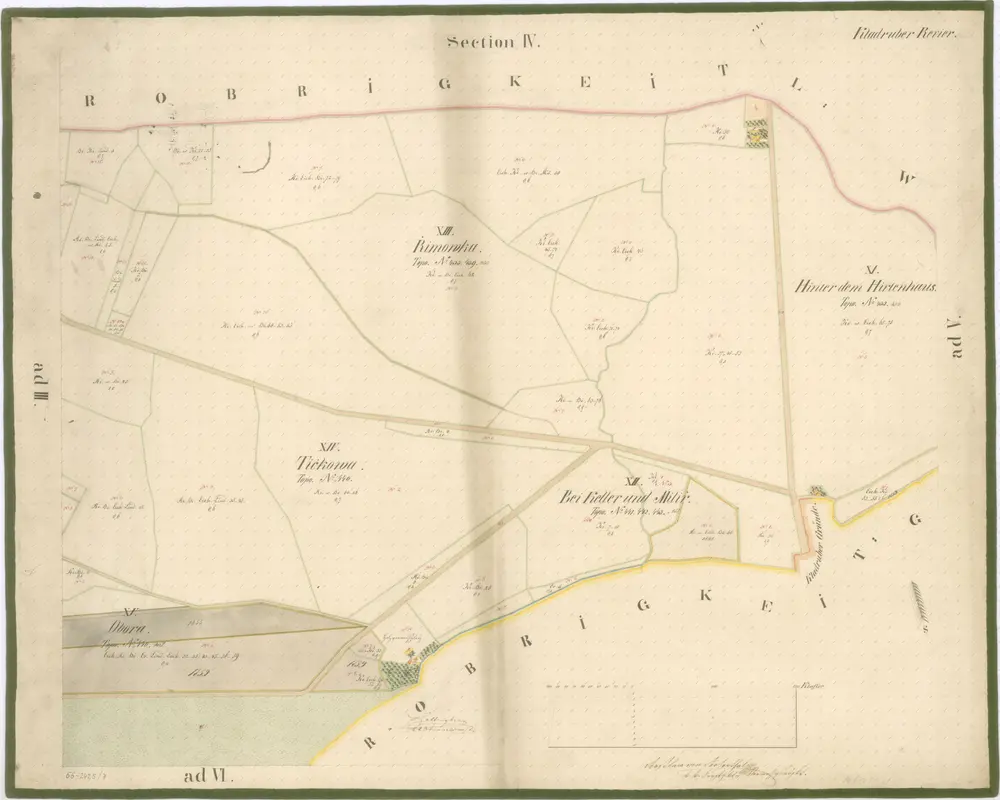 Porostní mapa revíru Kladruby Sekce IV.