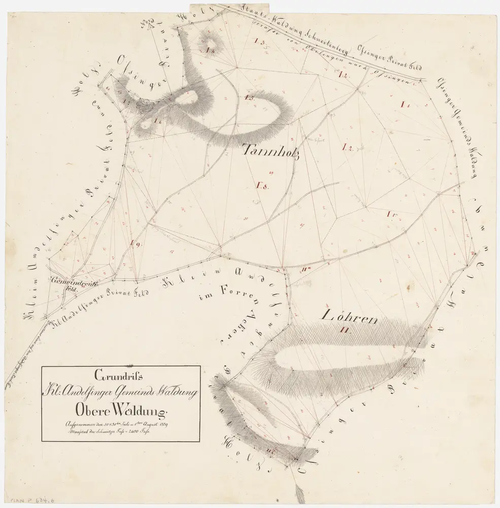 Kleinandelfingen: Gemeindewaldung: Obere Waldung mit Tannholz, Lören (Löhren); Grundriss