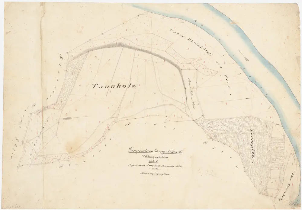 Flaach, Volken, Kleinandelfingen: Gemeindewaldung Flaach: Flaach: Tannholz, Rheinhölzli, Werd, Forspitz (Forrspitz); Grundriss (Tab. I)