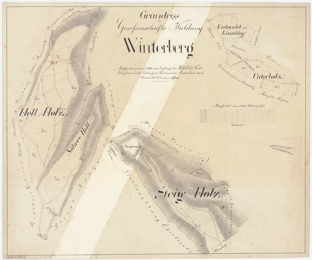 Lindau: Genossenschaftswaldung Winterberg: Hell (Hellholz), Nächeri Hell (Nähere Hell), Steigholz, Unterholz, Eichwald im Ischlag (Einschlag); Grundrisse