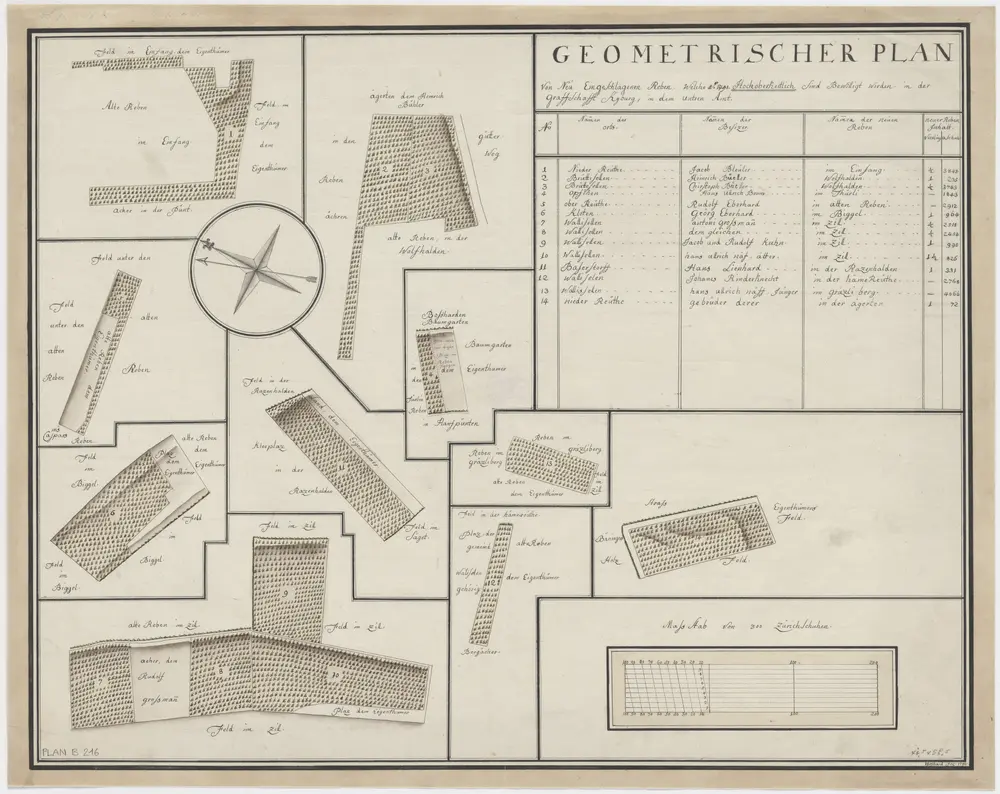 Bassersdorf, Kloten, Opfikon, Wallisellen, Brüttisellen: Neue von der Regierung im Jahr 1791 bewilligte Reben in der Grafschaft Kyburg, im Unteren Amt; Grundrisse