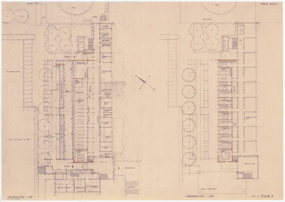 Wetzikon: Kantonsschule, Projekt Freie Wiese: Erdgeschoss und 1. Stock; Grundrisse