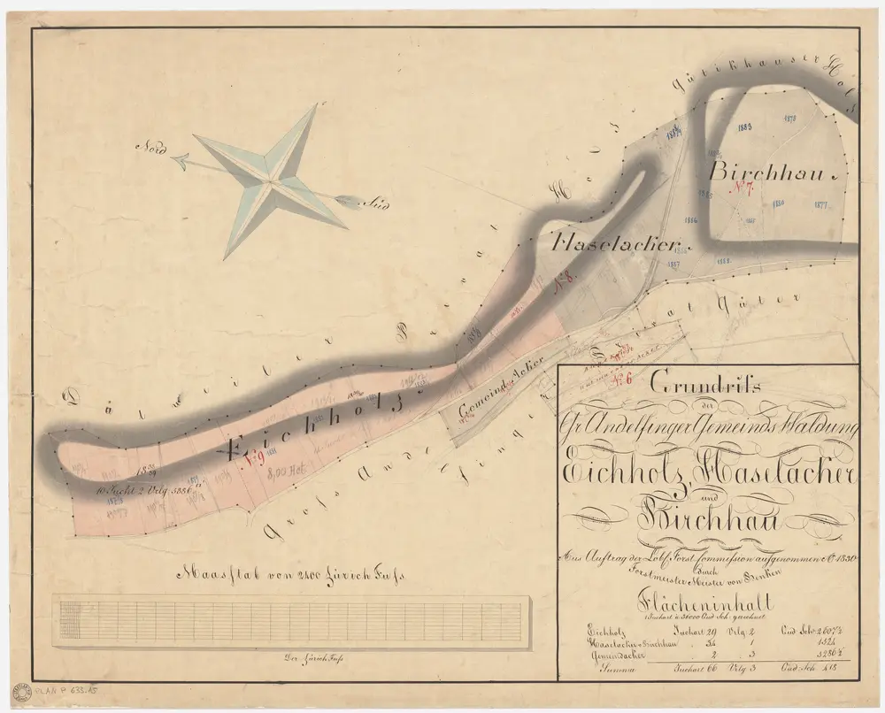 Andelfingen (damals Grossandelfingen): Gemeindewaldung: Eichholz, Haselacker, Birchhau; Grundriss