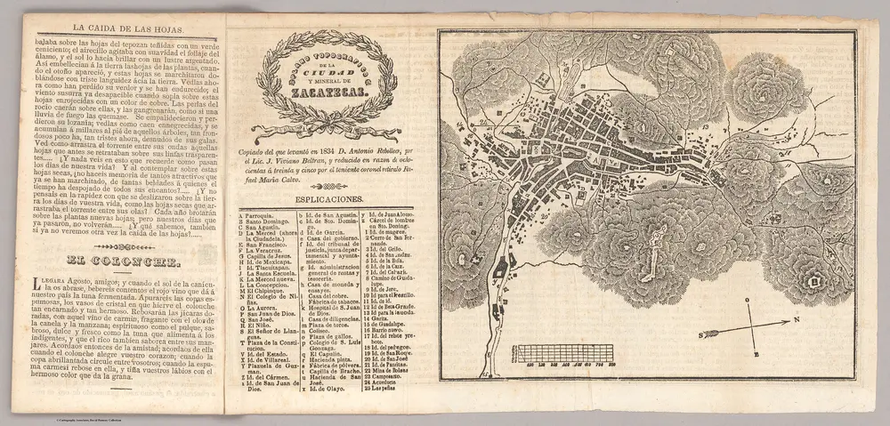 Plano topografico de la ciudad y mineral de Zacatecas