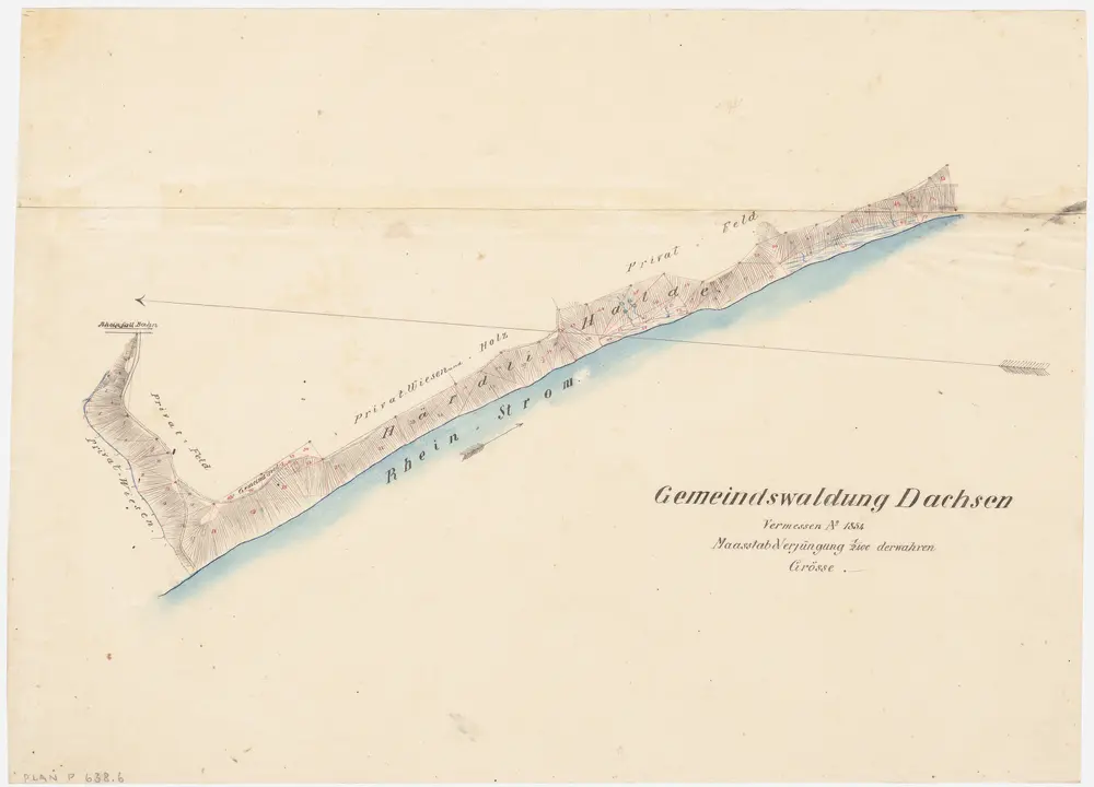 Dachsen, Laufen-Uhwiesen, Benken, Trüllikon: Gemeindewaldung Dachsen: Dachsen: Härdli; Grundriss