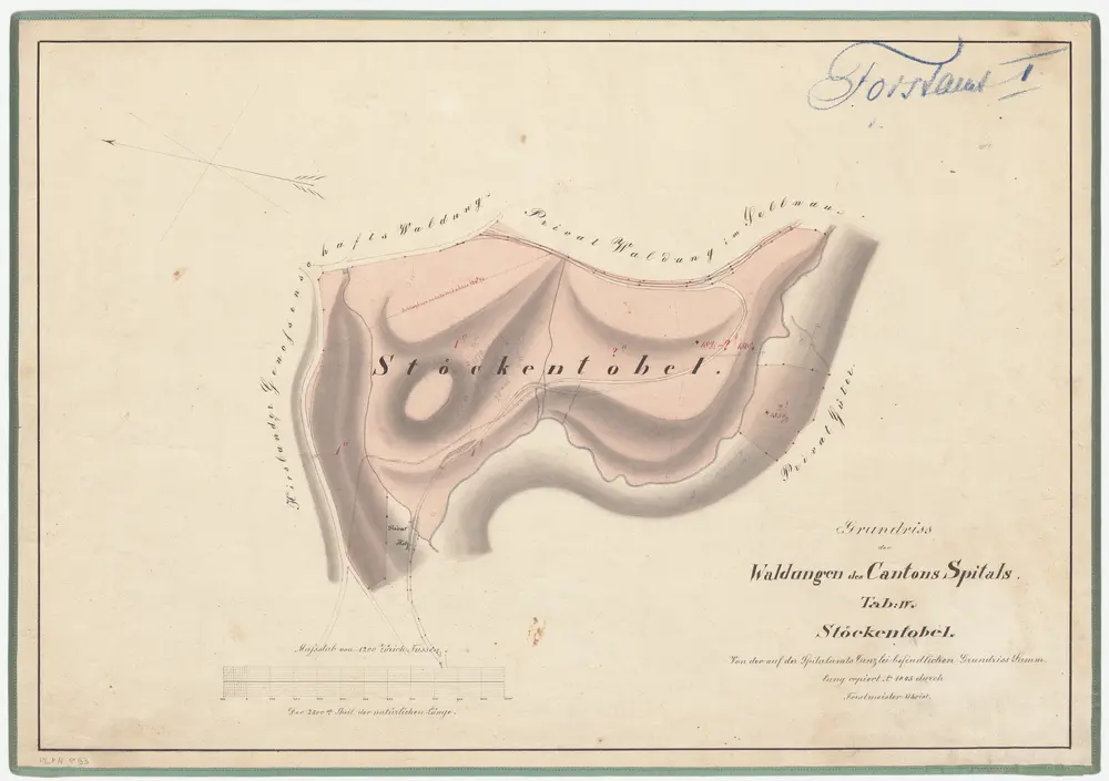 Hirslanden: Dem Kantonsspital gehörende Waldungen im Stöckentobel; Grundriss (Tab. IV)