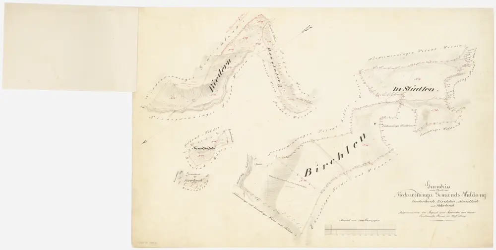 Niederweningen: Gemeindewaldung: Birch (Birchlen), Stüdlen, Sandhöli (Sandhöhle), Forenbuk (Forrbuck), Rieden (Riedern), Hangleten, Himibuck (Himmibuck); Grundrisse