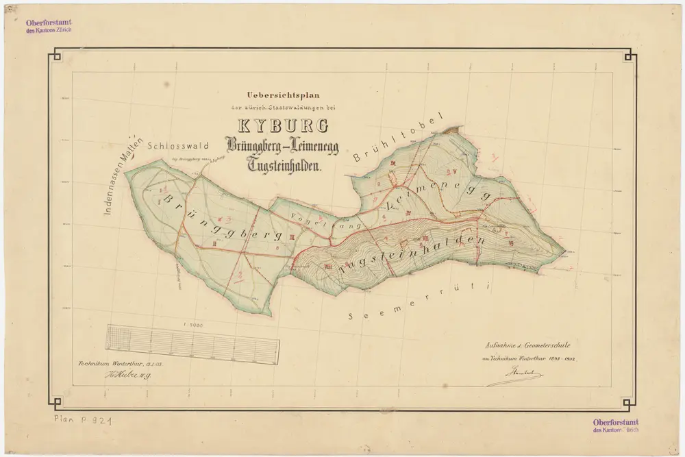 Kyburg: Brünggberg, Leimenegg, Vogelsang, Tutschgenhalden (Tugsteinhalden); Grundriss