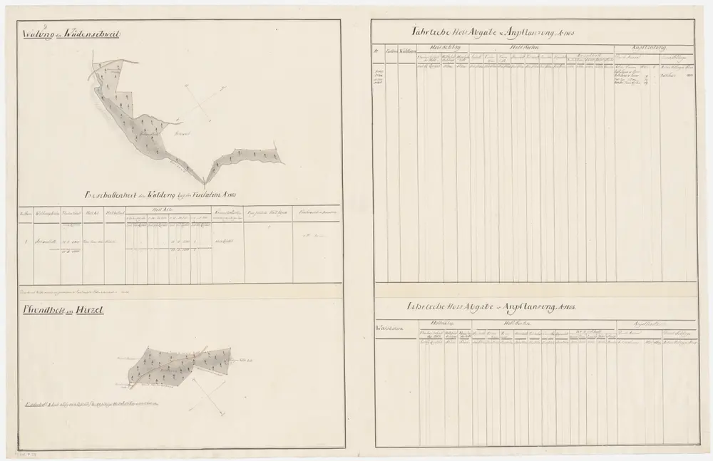 Wädenswil, Hirzel: Dem Amt Küsnacht gehörende Waldung und Pfrundholz (Waldbezirke Sennweidholz und Änderholz); Grundrisse (VI. Planche)