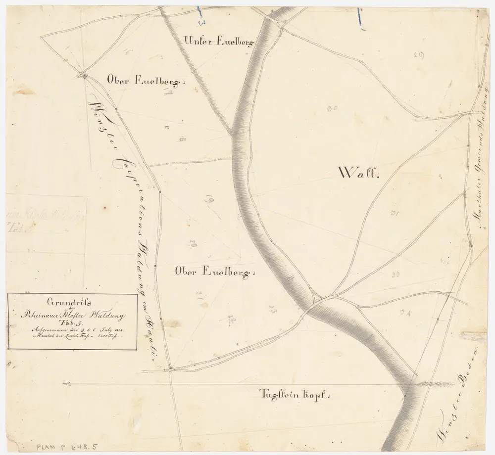 Rheinau: Gemeinde-, Kloster- und Genossenschaftswaldungen: Klosterwaldungen Unter Euelberg, Ober Euelberg, Watt, Tugsteinchopf (Tugstenchopf, Tugstein Kopf); Grundriss (Tab. 5)