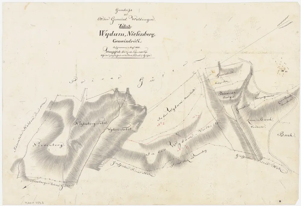 Illnau-Effretikon (damals Illnau): Gemeinde- und Genossenschaftswaldungen Ottikon: Gemeindewaldungen Widumtobel (Wydum), Niesenberg, Gemeindrüti, Buech, Lochwiese; Grundriss (Tab. 3)