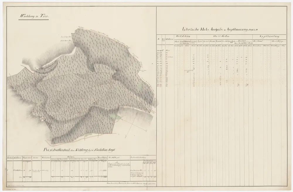 Töss: Dem Amt Winterthur gehörende Waldung (Waldbezirke Ebnet und Geissenrain); Grundriss (IX. Planche)