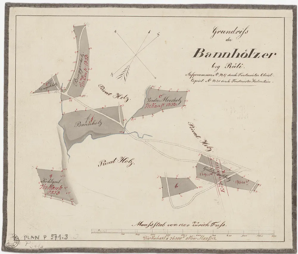 Rüti, Dürnten, Bubikon: Staatswaldung: Rüti, Dürnten: Bannhölzer Moosholz, Bannholz, Cholgrueb, Guldistud, Bruggenholz, Dreieckholz; Grundriss