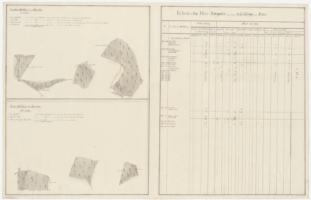 Seegräben: Dem Amt Rüti gehörende Waldung (I. und II. Lehen); Grundrisse (XXIV. Planche)