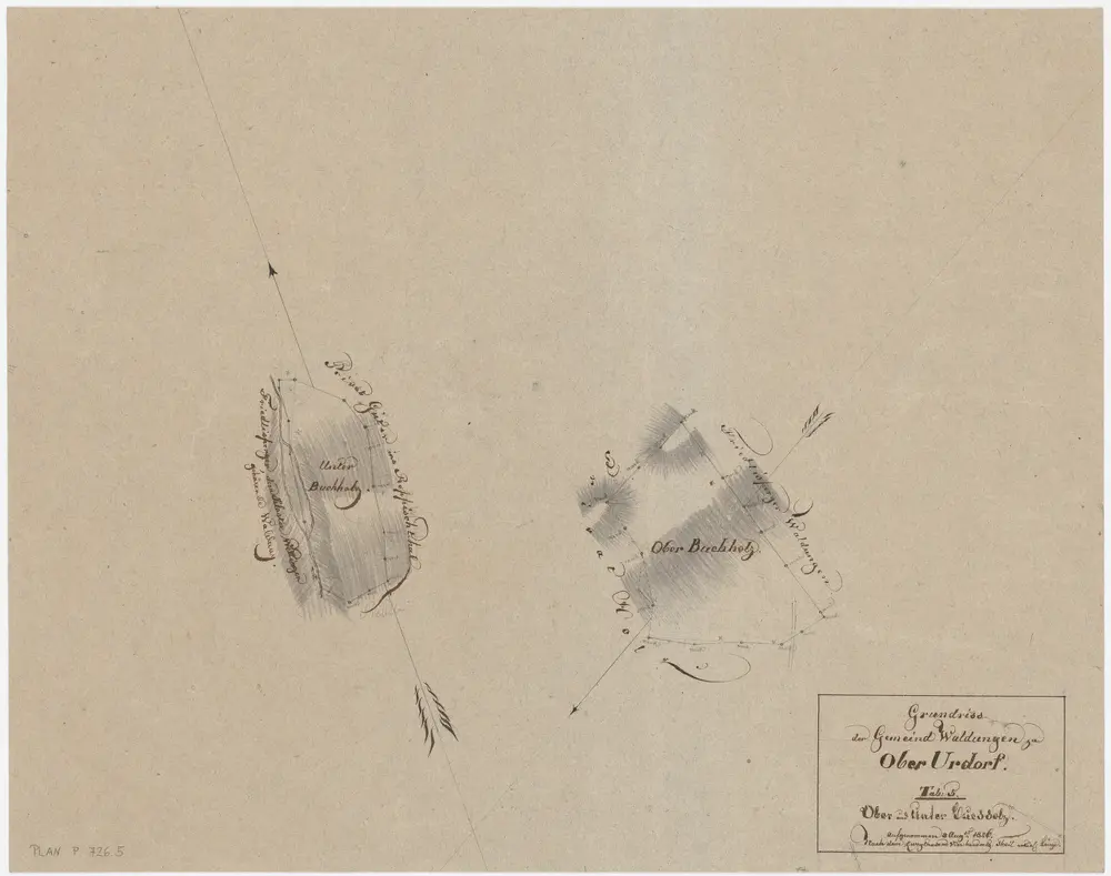 Urdorf: Gemeinde- und Genossenschaftswaldungen Oberurdorf: Oberurdorfer Gemeindewaldungen Unteres und Oberes Buechholz (Buchholz); Grundrisse (Tab. 5)