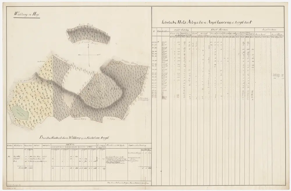 Oberwinterthur: Dem Amt Winterthur gehörende Waldung in Hegi (Waldbezirke Meilisholz, Schönholz und Birchwald); Grundrisse (VIII. Planche)