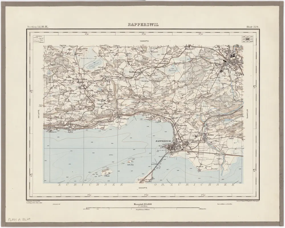 Topographischer Atlas der Schweiz (Siegfried-Karte): Den Kanton Zürich betreffende Blätter: Blatt 229: Rapperswil