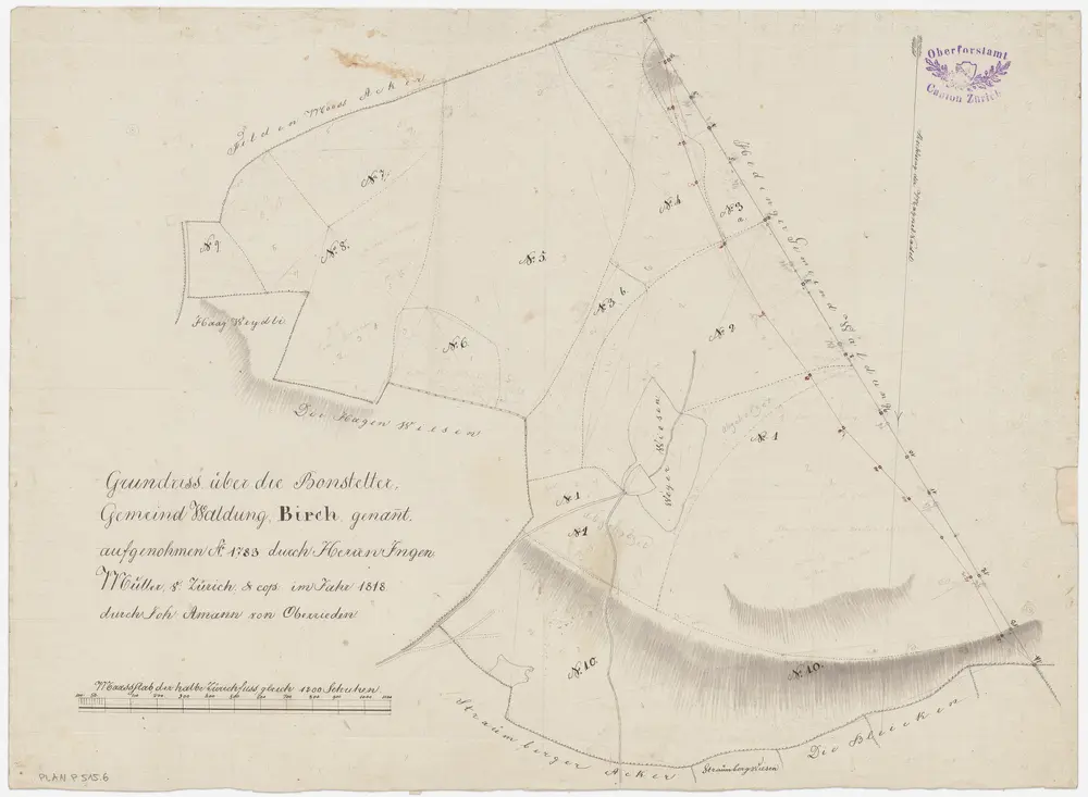 Bonstetten: Gemeinde- und Genossenschaftswaldungen: Gemeindewaldung Birch; Grundriss